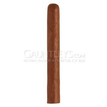 Hoyo De Monterrey Epicure No 1 - Single
